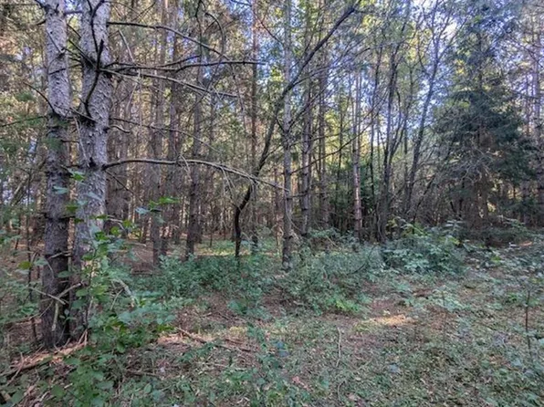 8XX 97th St, Amery, WI 54001