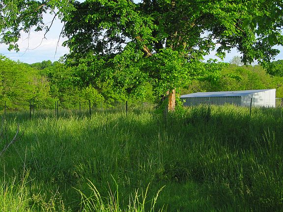 Back of coops/lean-to