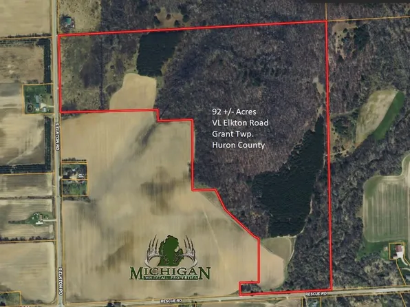 Elkton Rd, Owendale, MI 48754