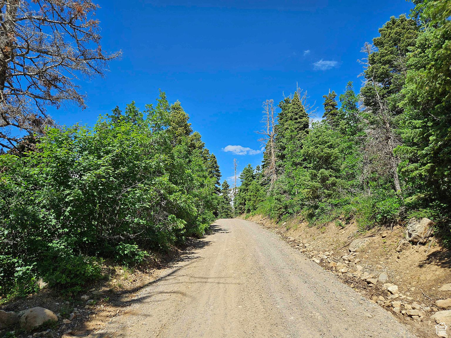 71 Spring City Rancheros Rd, Mount Pleasant, UT 84647 | MLS #1883287 ...