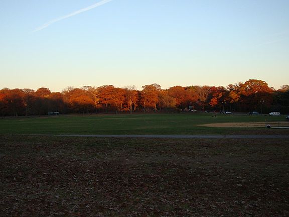 Franklin Park Field