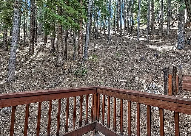 Backyard with private forest setting