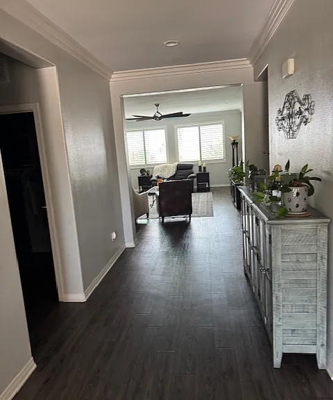 Hallway to living space