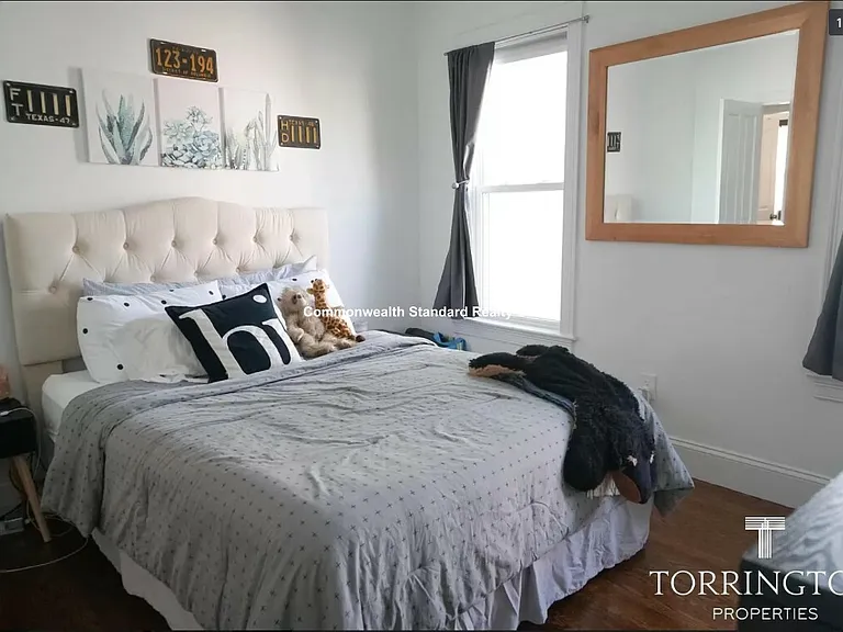 19-5 Marney St — Photo 4