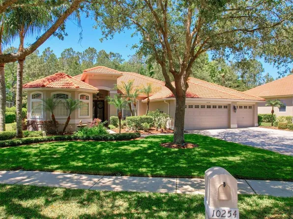10254 Arbor Side Dr, Tampa, FL 33647