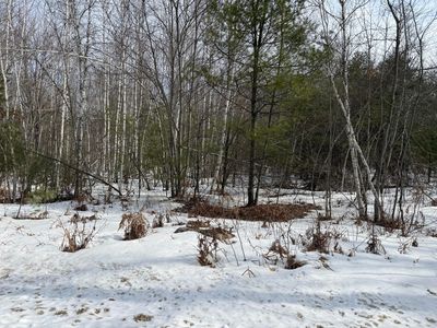 M10-L2-3B Town Farm Road, Shapleigh, ME, 04076