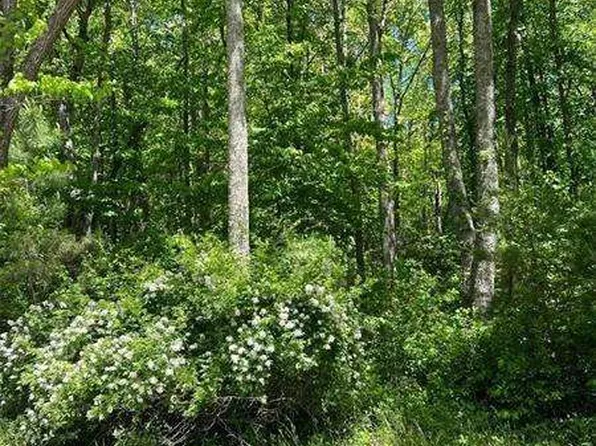 0 Sunrise Valley Rd, Blue Ridge, GA 30513