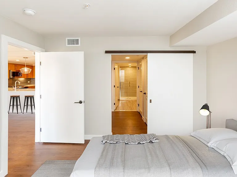 Bedroom features a sliding barn door