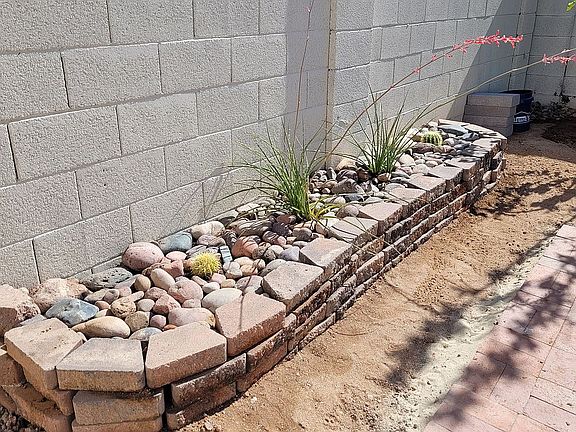 Back yard cactus garden