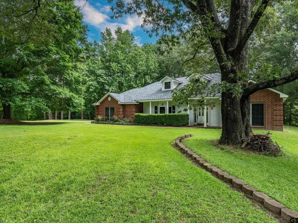 21473 Sorrell Dr, Troup, TX 75789
