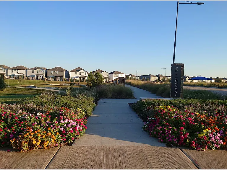 Walking path