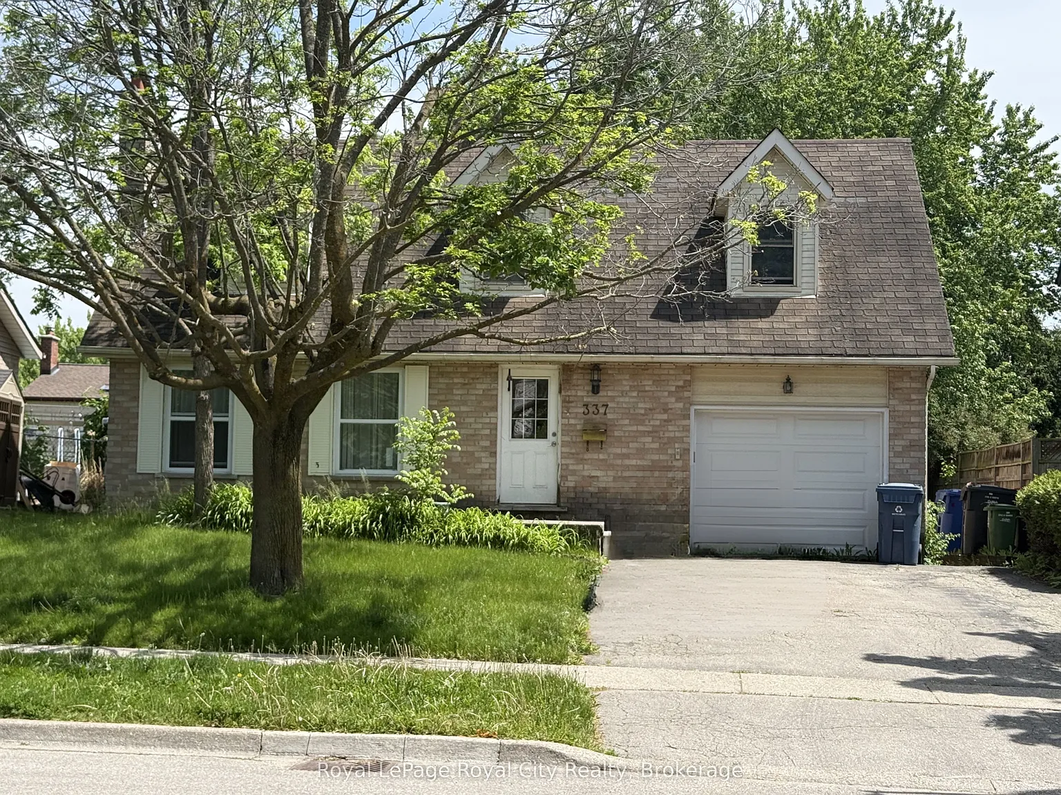 1 bed, $1,600 — Photo 1