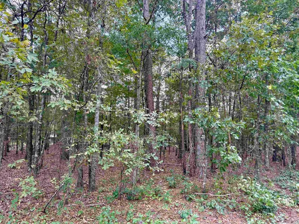 5 & 6 Ellen Ln, Higden, AR 72067