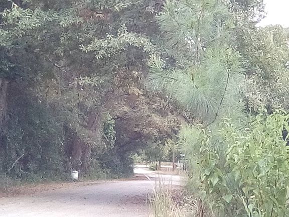 4th image of 1096 Peggy Swint Ln