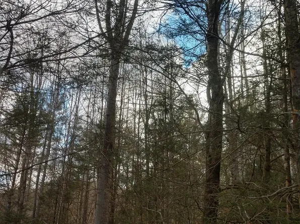 S Of Hwy #19, Roan Mountain, TN 37687