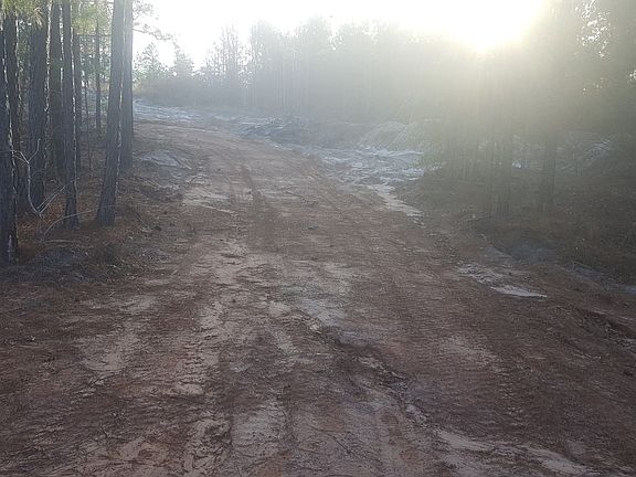 5th image of 16734 County Road 359