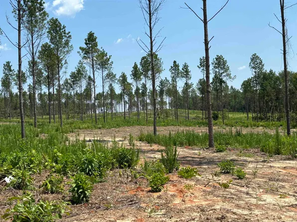 0 Grant 43 E, Sheridan, AR 72150