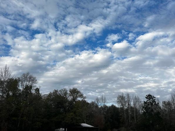 0 Morning Star Rd, Gainestown, AL 36540
