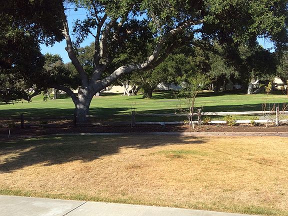 rear yard