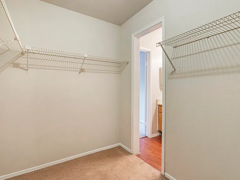 2911 Sycamore Springs Dr — Photo 55