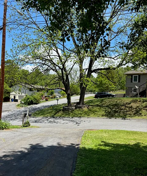 7 Village Park Dr — Photo 11