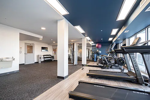 Floor plan Modern and Spacious 1 Bedroom Unit - 532 SF