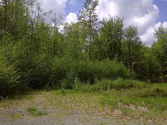 5th image of 151XX SE 330th St