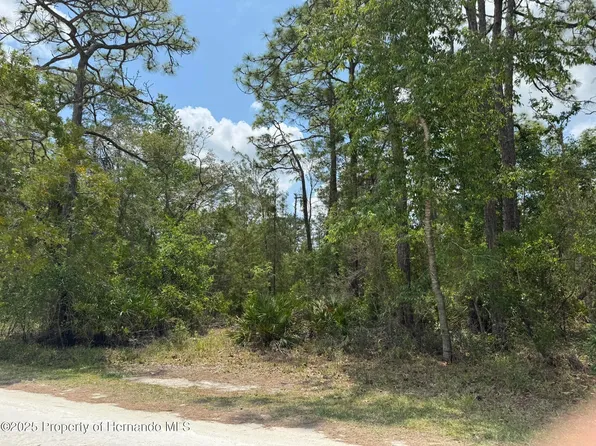 LOT 55 Nakoma Way Lot 55, Brooksville, FL 34613