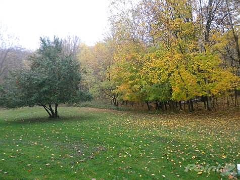 Part of Backyard