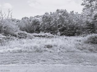 1181 Prospect St, Salem, OH 44460