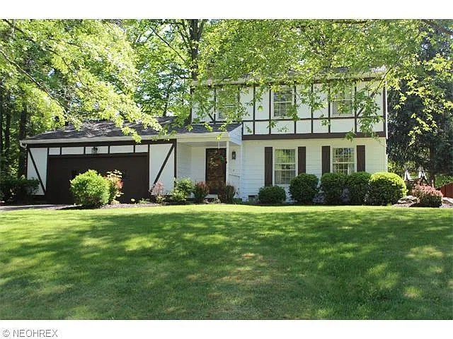 241 Sawmill Run Dr photo 1