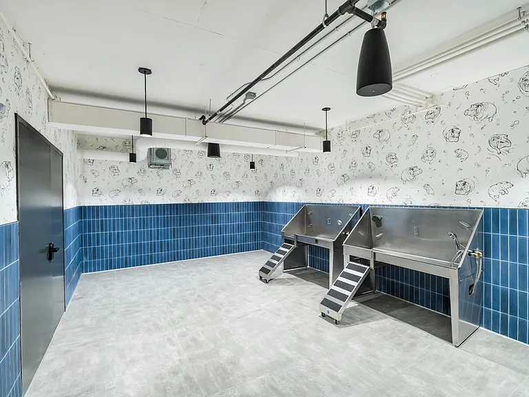 Elevated pet spa with double wash stations and playful dog-themed design.