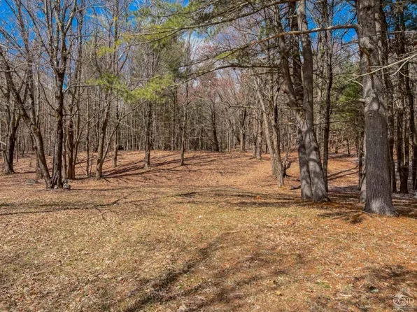 0 County Route 9, Chatham, NY 12037