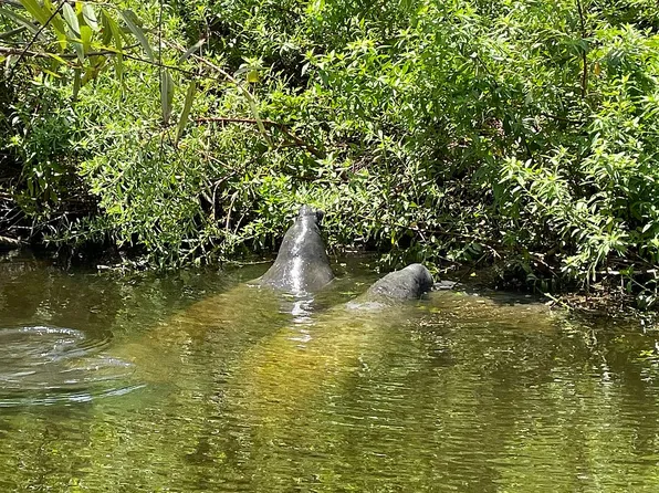 3454 Kent Dr, Melbourne, FL 32935
