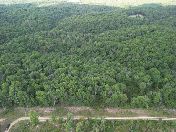 97 Little Tree Trl, Raymondville, MO 65555