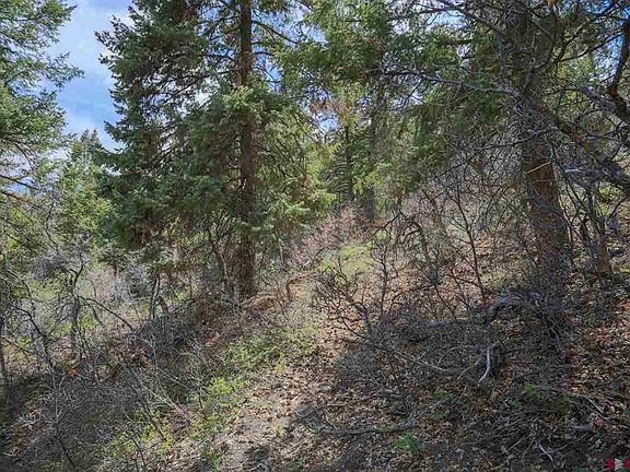 3rd image of 430 Pike Drive