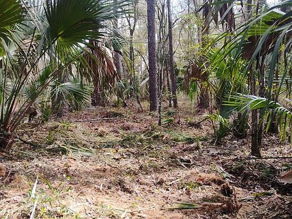 5th image of 18954 N County Road 329