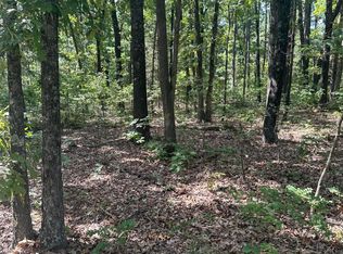 160 Aspen Rd, Hollister, MO 65672