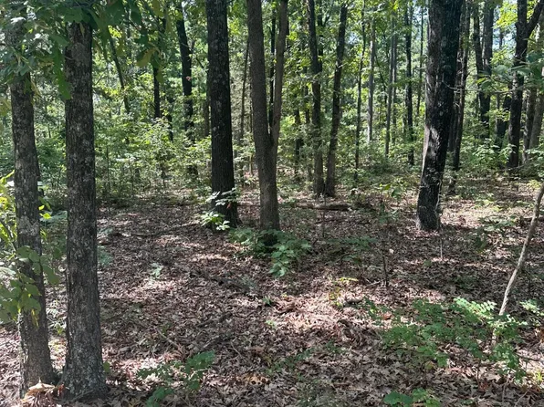 160 Aspen Road, Hollister, MO 65672