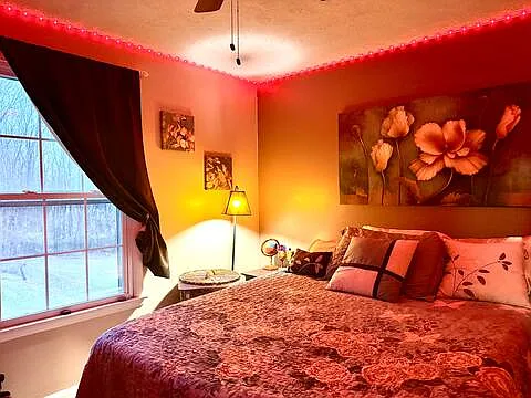 3 bed, 1053 sqft, $5,000 — Photo 3