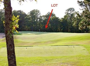 51 Sweetspire Dr, Elgin, SC 29045