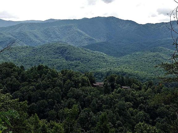 2nd image of LOT Vixen Run Lot 6
