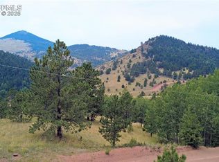 726 Copper Mountain Dr, Cripple Creek, CO 80813