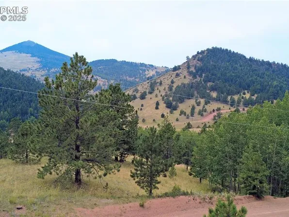 726 Copper Mountain Dr, Cripple Creek, CO 80813
