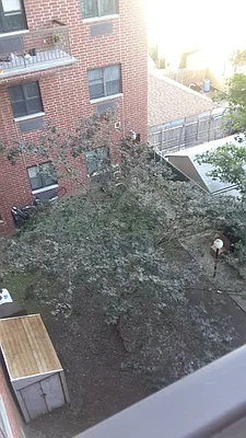 Rented by Winzone Realty Inc | media 7