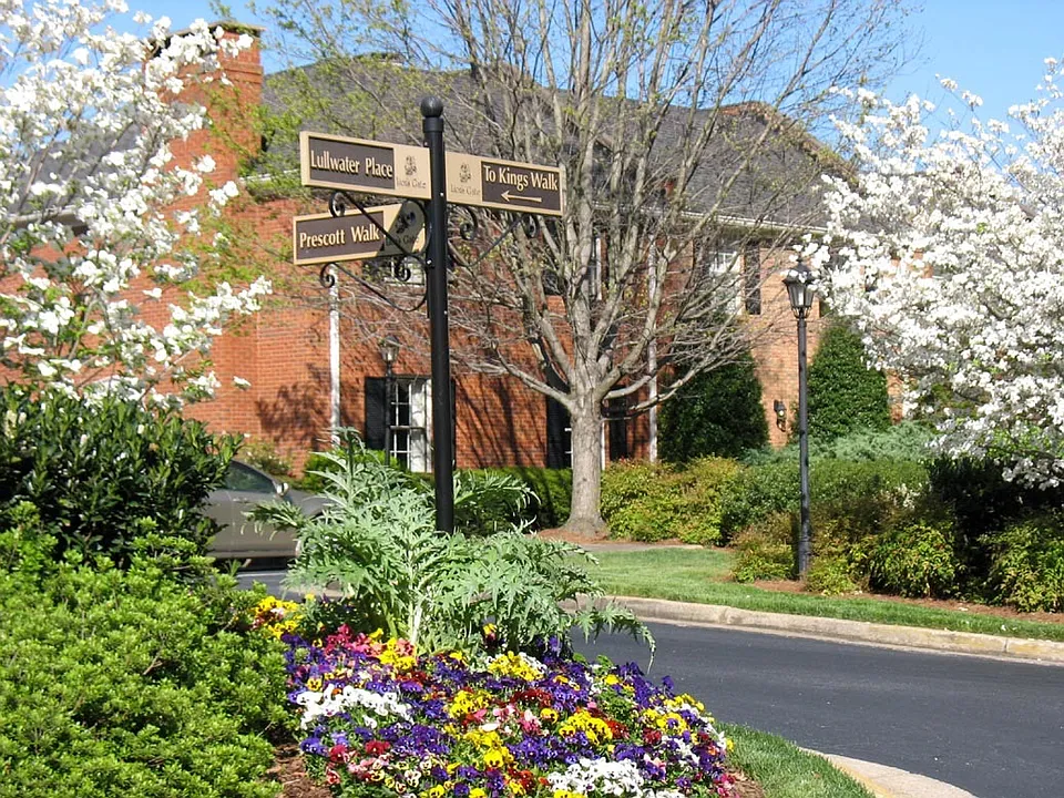 Neighborhood landscaping