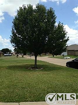 4th image of 6306 Lotus Dr
