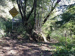 5th image of 15940 Morningside Dr