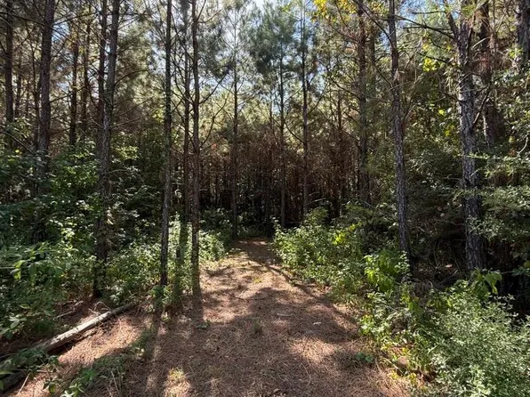 Private Road 8263, Broaddus, TX 75929