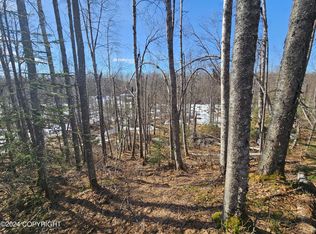 48176 S Dolly Varden Dr, Talkeetna, AK 99676